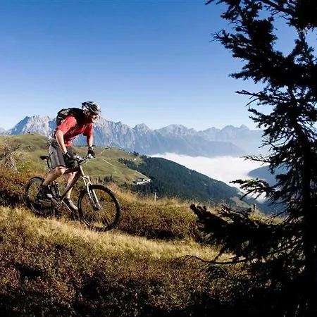 Appartement Gertrude Eder Leogang