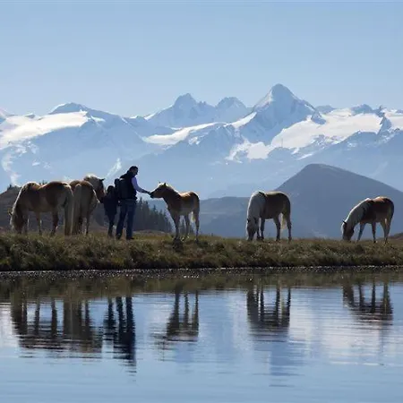 公寓 兰德豪斯格特鲁德埃德尔酒店
